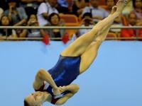 开云官网-韩国体操选手表现优异，夺得多枚金牌