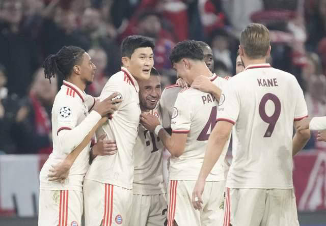 拜仁慕尼黑球迷球场上呐喊助威