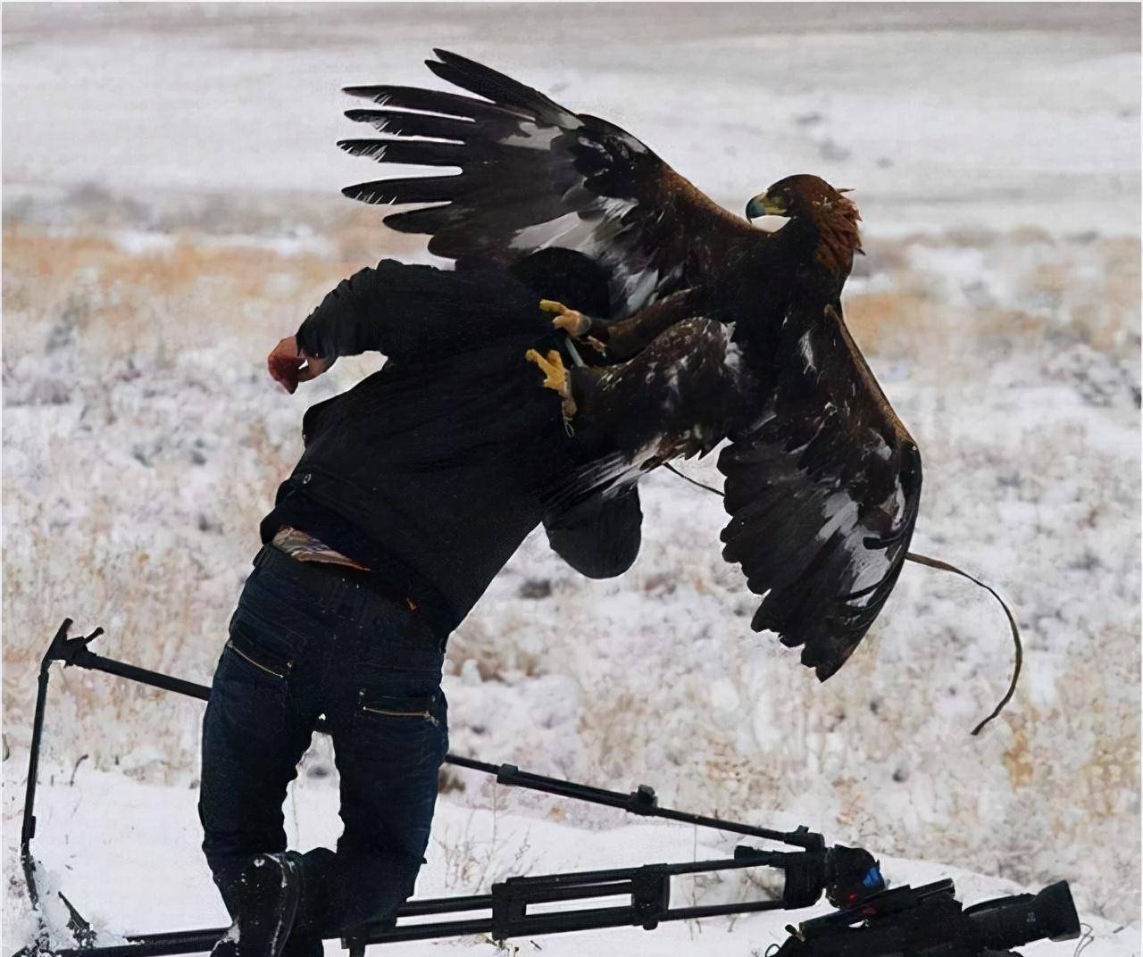 老鹰遭逢76人的猛攻 老鹰遭逢76人的猛攻