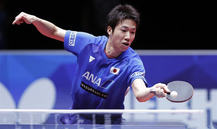 日本队横扫法国队，许昕惊艳四座的简单介绍